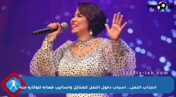 انجذاب النمل.. أسباب دخول النمل للمنازل وأساليب فعالة للوقاية منه
